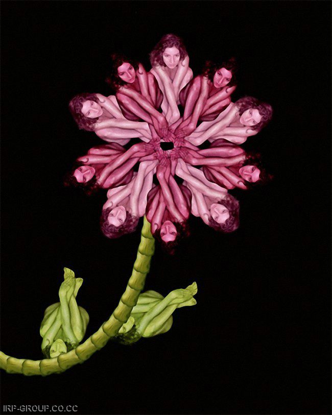 cecelia-webber-flores-a-la-humana Quiero Algo Diferente (14)